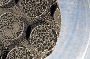 analytical analysis of polymers such as PVC for antimicrobial additives
