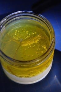 fuel biodegradation by microorganism biofilm