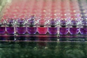 Analytical testing can test for a range of material parameters including water solubility, partition coefficient, adsorption coefficient, and hydrolysis as a function of pH