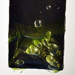 image43-medium_p