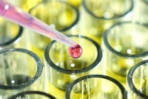 OECD 310 - Ready Biodegradation - CO2