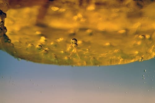OECD 301E - Modified Biodegradation Test - DOC