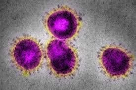 Coronavirus