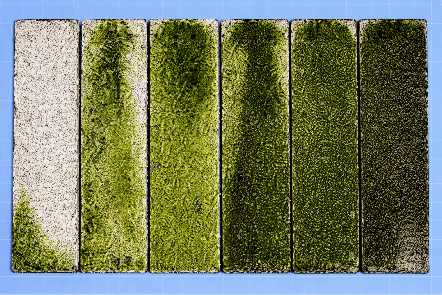 Algae Resistance Testing - Customized Antialgal Performance Testing